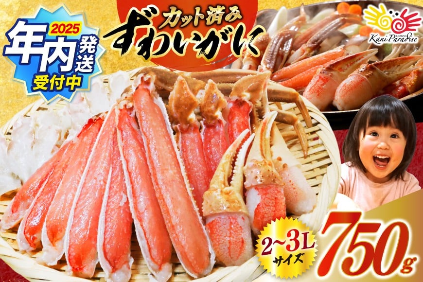 【2025 年内配送】 カット済 生 ずわいがに むき身 セット 総重量 750g (正味重量600g) 2-3Lサイズ [カネダイ 宮城県 気仙沼市 20565652] 750g
