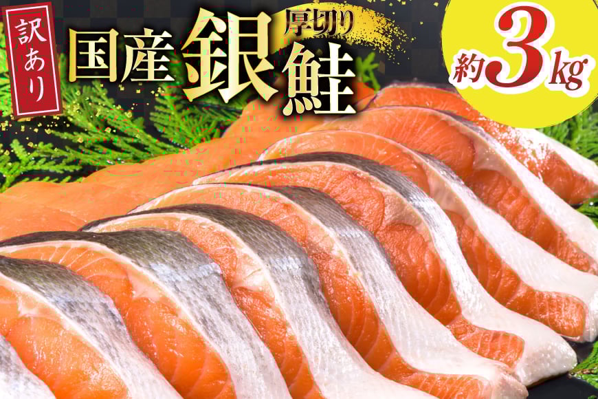 訳あり 国産 減塩 厚切り 塩銀鮭 切身 計 3kg [足利本店 宮城県 気仙沼市 20565950] サーモン 鮭 さけ サケ シャケ 魚 海鮮 魚介 甘塩味 規格外 不揃い 鮭切身 切り身 簡易包装 家庭用 訳アリ 冷凍 塩分控えめ 無添加