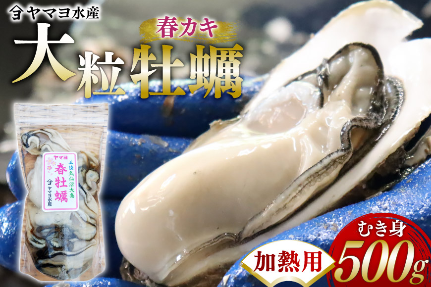 【期間限定発送】 ヤマヨ水産の牡蠣 加熱用 500g 《5月前半～出荷》 [気仙沼市物産振興協会 宮城県 気仙沼市 20565983] 魚介類 海鮮 牡蠣 春 かき 春牡蠣 春かき 期間限定 冷蔵 加熱