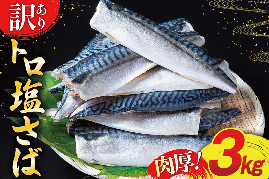 訳あり 塩サバ フィレ 3kg [足利本店 宮城県 気仙沼市 20564146] 魚介類 魚 海鮮 大容量 サバ さば 鯖 サバフィレ サバフィーレ 鯖フィレ トロサバ 訳アリ 訳あり わけあり 切り身 冷凍