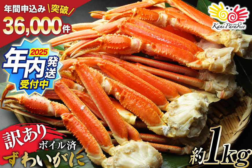 【2025 年内配送】 訳あり ボイル ずわいがに 肩付き脚 総重量1kg [カネダイ 宮城県 気仙沼市 20564325] カニ かに 魚介類 ズワイガニ ずわい蟹 ズワイ蟹 ずわい ズワイ 蟹 カニ カニ脚 蟹脚 不揃い 規格外 海鮮 ご褒美
