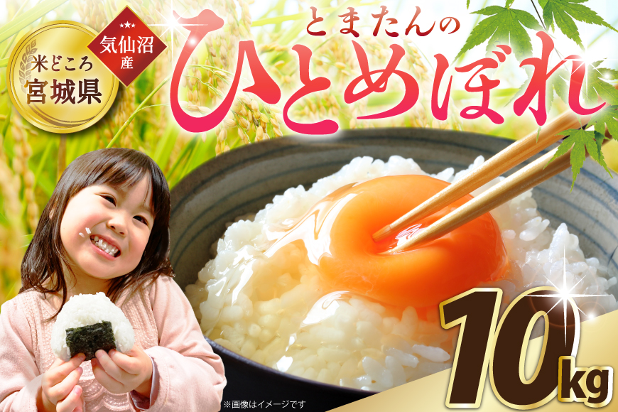 米 令和7年 宮城県産 ひとめぼれ 10kg [サンフレッシュ小泉農園 気仙沼市 20565647] 10㎏