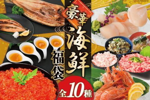 ※廃番※豪華 海鮮福袋 全10種 [カネダイ 宮城県 気仙沼市 20565747] 海鮮 福袋 いくら ホタテ ほたて カニ かに ズワイガニ フカヒレ 魚介 魚 冷凍