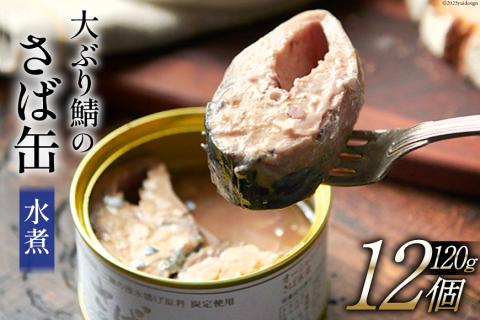 大ぶり鯖のさば缶 12缶 セット 水煮 [モンマルシェ 宮城県 気仙沼市 20565067] 缶詰 サバ缶 サバ 缶詰め かんづめ 鯖 さば さばの水煮 水煮 簡単調理 高級 保存食 常備 常温