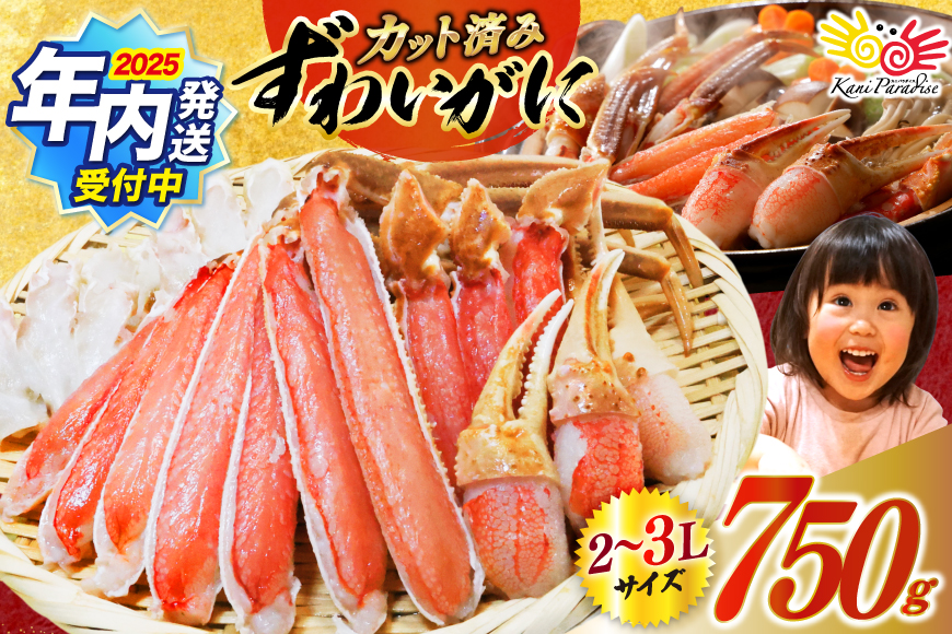 [2025 年内配送] カット済 生 ずわいがに むき身 セット 総重量 750g (正味重量600g) 2-3Lサイズ [カネダイ 宮城県 気仙沼市 20565652]