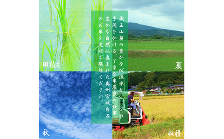令和7年産　ひとめぼれ 精米 5kg 宮城県白石市産【0616001】 精米(5kg)