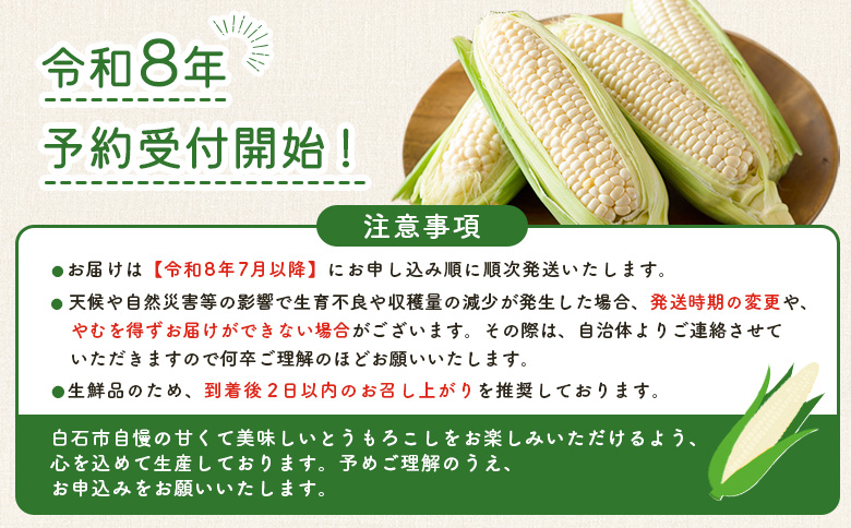 ★令和8年産予約開始★数量限定！ とうもろこし スイートコーン ピュアホワイト 5本入【06168】