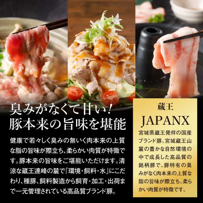 JAPAN X3種スライスセット2.8kg(バラ・肩ロース・小間)【0415301】