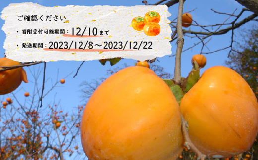 宮城の樽柿(脱渋済宮城県産蜂屋柿3.0kg)柿味だより【13006】