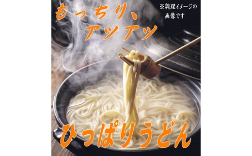 ひっぱりうどん　260g　10袋入【41154】