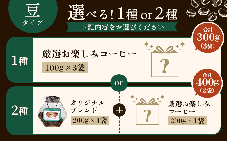 【自家焙煎珈琲工房 飛行島】珈琲豆 2種セット 計400g （200g×各1袋）【47001】  （200g×各1袋）計400g