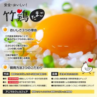 【配送地域限定】＜白石蔵王育ち＞「竹鶏たまご」30個（保証5個含む）【17151】