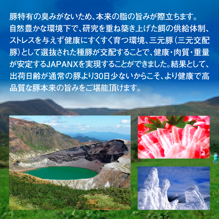 JAPAN X 豚モモ2mmスライス/計2.4kg (200g×12パック・真空包装)【04174】