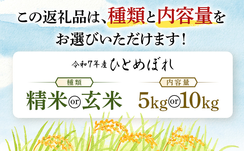令和7年産　ひとめぼれ 精米 5kg 宮城県白石市産【0616001】 精米(5kg)