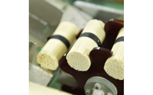 白石温麺二種詰合せ(ぜいたく温麺&無塩温麺)【16151】