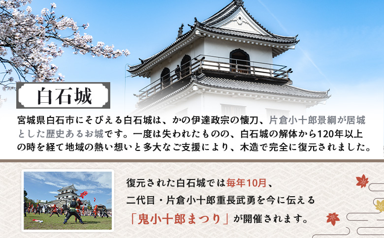 【お城で体験！】本格甲冑着用体験チケット 3名様分（ 1名様分×3枚）【440003】