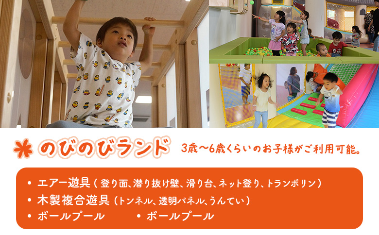 こじゅうろうキッズランド パスポート (6ヶ月間有効)【51002】