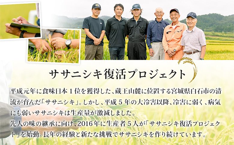 【令和7年産】 ササニシキ 玄米 10kg 特別栽培米 宮城県白石市産【0615501】