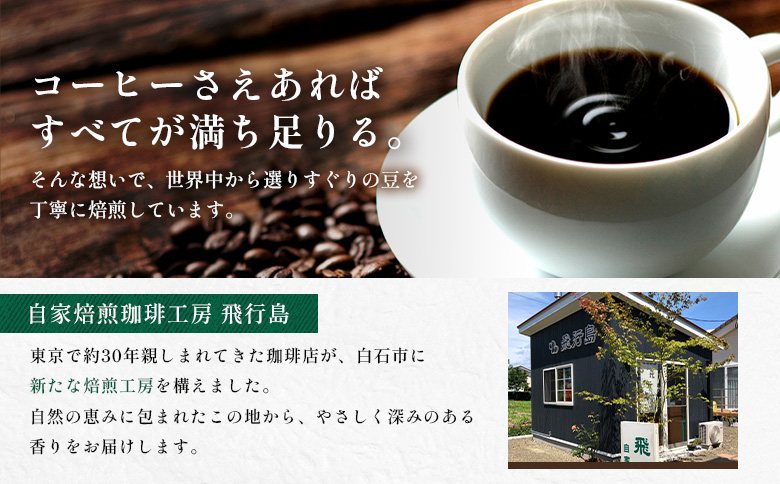 【自家焙煎珈琲工房 飛行島】 自家焙煎珈琲（粉）2種セット 計400g（200g×各1袋）【47003】 （200g×各2袋） 計400g