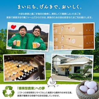 【配送地域限定】＜白石蔵王育ち＞「竹鶏たまご」30個（保証5個含む）【17151】