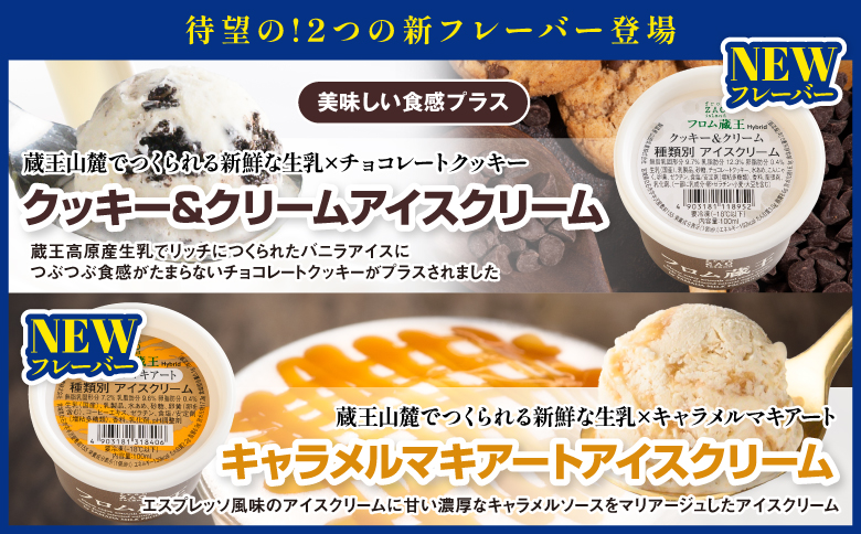 フロム蔵王　Hybrid　NEO　スーパーマルチアイスBOX24（6種×4個）【0114801】