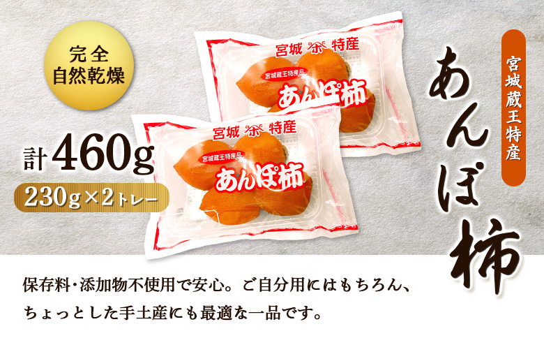 ＜★先行予約★＞2025年12月22日より順次発送 宮城蔵王特産 あんぽ柿（230g×2トレー）【22007】