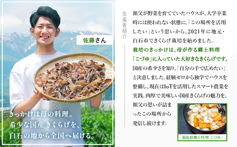 《国産》東北きくらげ【木華（もっか）】 乾燥（黒）100g(20g×5袋)【580014】 （黒）100g(20g×5袋)