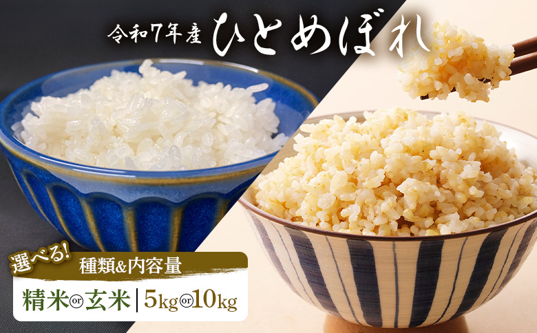 令和7年産　ひとめぼれ 精米 5kg 宮城県白石市産【0616001】 精米(5kg)