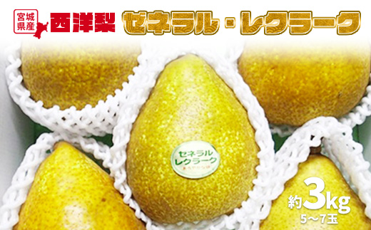 西洋梨 ゼネラル・レクラーク 約3kg (5～7玉)【1510101】