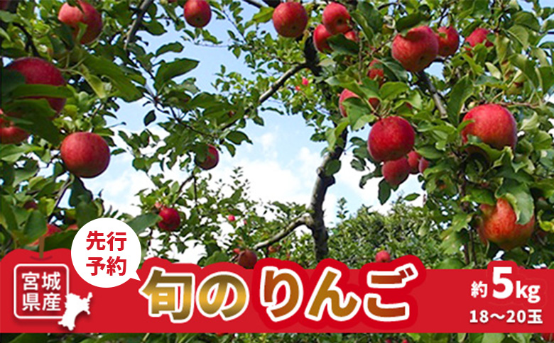 【先行予約】★数量限定★旬のりんご 約5kg (18～20玉)【1510301】