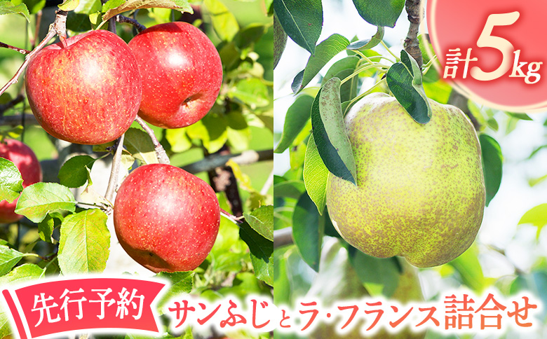 【先行予約】★数量限定★サンふじとラ・フランス詰合せ 計5kg【1510401】