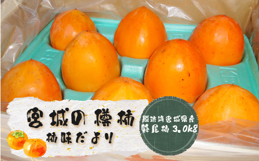 宮城の樽柿(脱渋済宮城県産蜂屋柿3.0kg)柿味だより【13006】