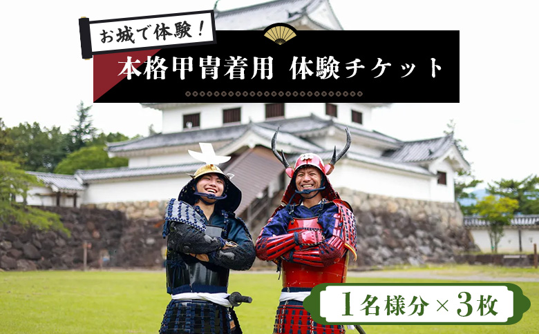 【お城で体験！】本格甲冑着用体験チケット 3名様分（ 1名様分×3枚）【440003】