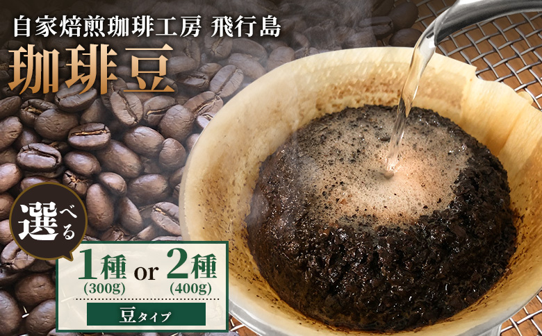 【自家焙煎珈琲工房 飛行島】珈琲豆 2種セット 計400g （200g×各1袋）【47001】  （200g×各1袋）計400g