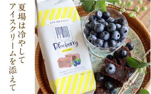 ポロショコラブルーベリー1本（5切）チョコ ケーキ スイーツ ガトーショコラ 濃厚 お菓子 洋菓子