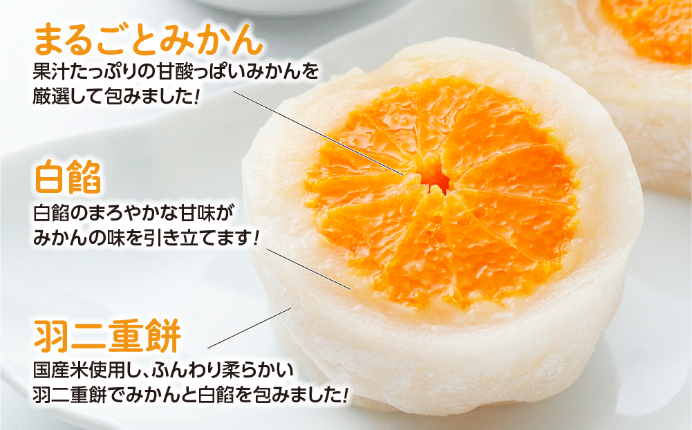 みかん丸ごと1個入った　甘仙堂のみかん大福１０個入