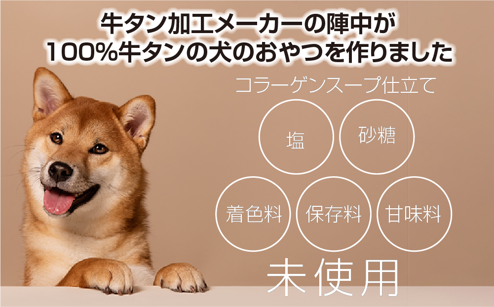 陣中 わんこのおやつペースト5本入り1箱