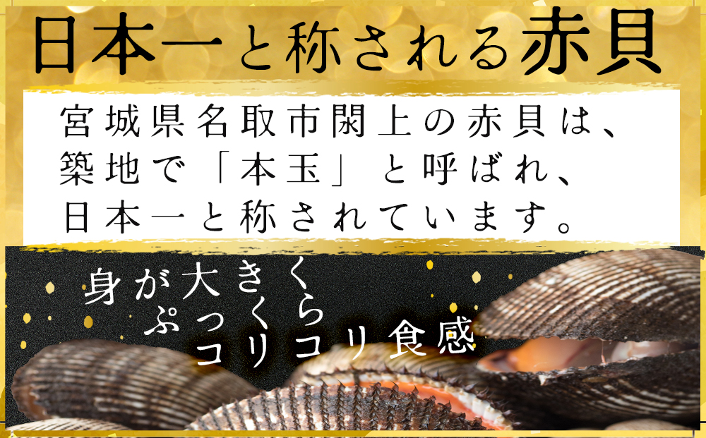 【閖上赤貝】まるごと赤貝　６個入り