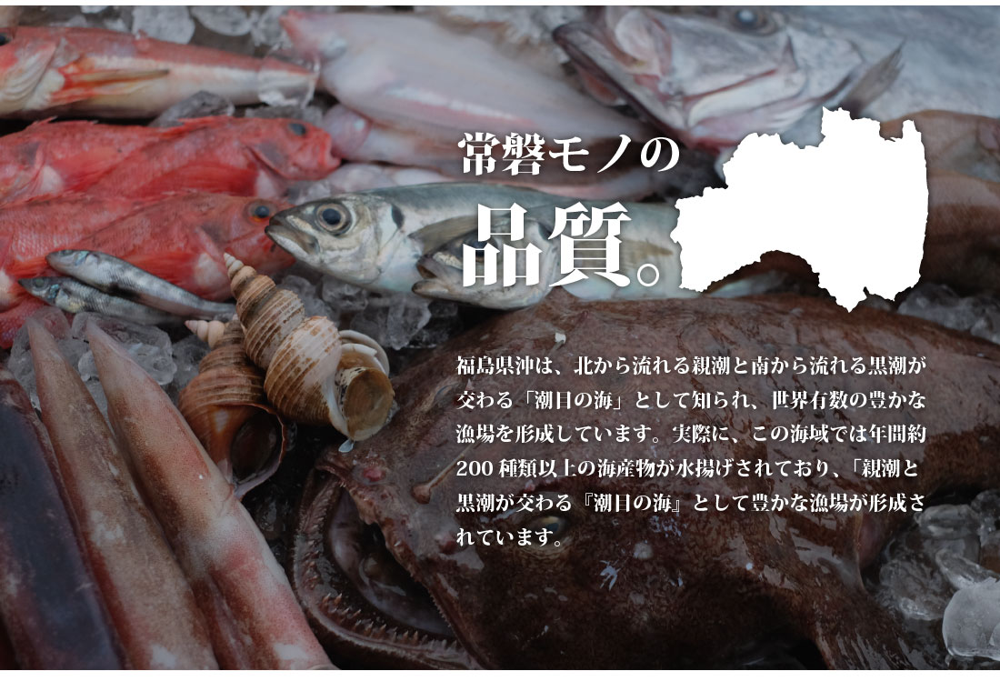 魚のおんちゃま 常磐4種 海鮮 ゴロゴロユッケ丼 100g×5P