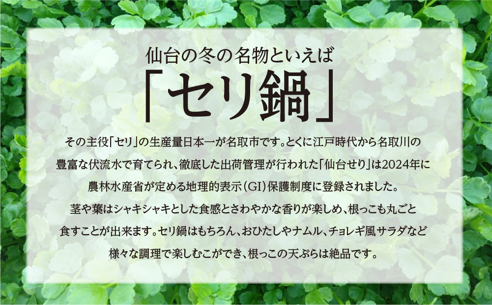 【期間限定】シャキシャキ食感の根付き仙台セリ（400g）3～4人前