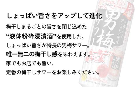 サッポロ 男梅 サワー 500ml×24缶(1ケース)×定期便5回(合計120缶) 缶 チューハイ 酎ハイ サワー