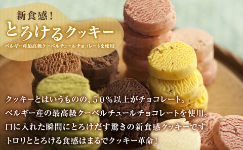 アルパジョン 新食感 ！ とろける クッキー 24袋入 ベルギー産 チョコレート 使用