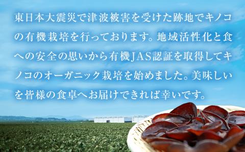 名取市産 しいたけ たけ蔵パウダー 20g×10袋セット