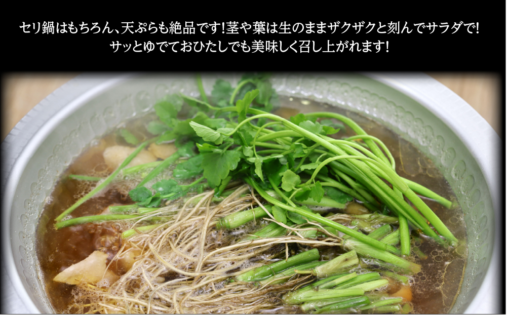 【期間限定】根っこがながーーーい　仙台龍神せり(300ｇ)2～3人前