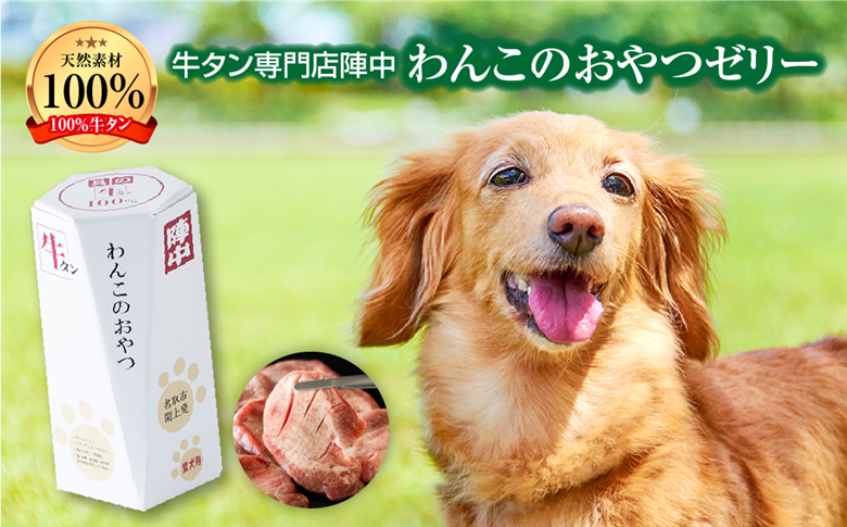 陣中 わんこのおやつペースト5本入り1箱