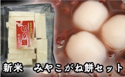 【12月28日発送】お正月におすすめ！「みやこがね餅」と「ゆべし」セット