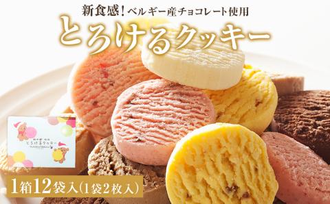 アルパジョン 新食感 ！ とろける クッキー 12袋入 ベルギー産 チョコレート 使用