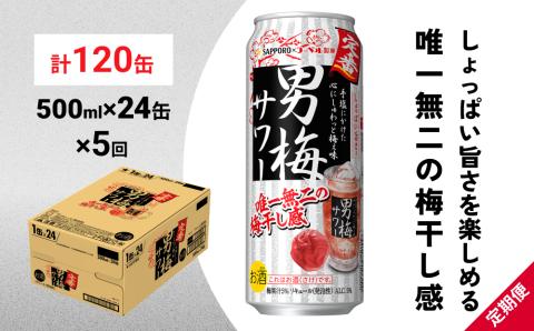 サッポロ 男梅 サワー 500ml×24缶(1ケース)×定期便5回(合計120缶) 缶 チューハイ 酎ハイ サワー