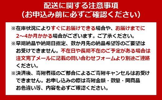 ミキサー ボトルブレンダー 330/600ml 氷対応 ボトルブレンダー アイリスオーヤマ 4枚刃 ギフト おしゃれ キッチン 家電 電化製品 IBB-601-W ホワイト