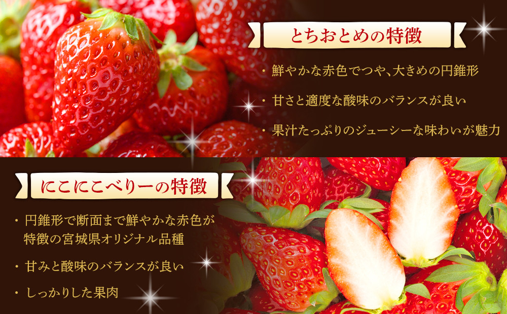 【先行予約】【JAみやぎ仙南】宮城県角田市産いちご　にこにこベリー・とちおとめ詰合せ　合計約1kg（250g×4パック）【2026年1月初旬より順次配送】